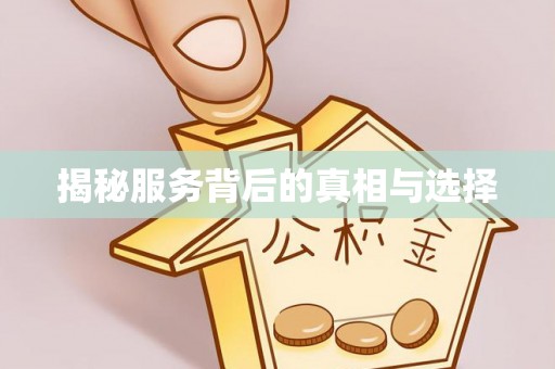 盐池揭秘服务背后的真相与选择