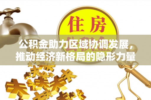 盐池公积金助力区域协调发展，推动经济新格局的隐形力量