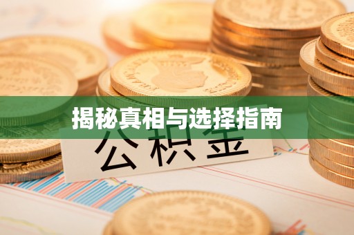 盐池揭秘真相与选择指南