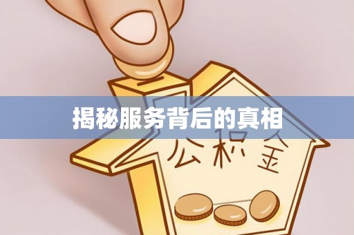 盐池揭秘服务背后的真相