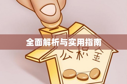 盐池全面解析与实用指南