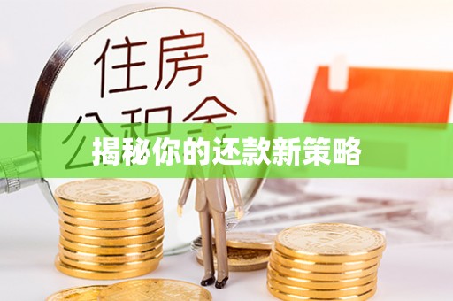 盐池揭秘你的还款新策略