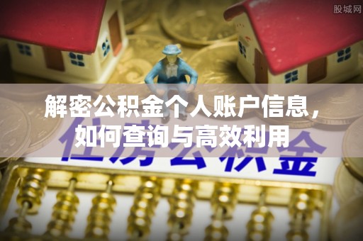 盐池解密公积金个人账户信息，如何查询与高效利用