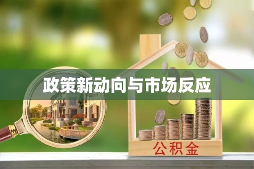 盐池政策新动向与市场反应