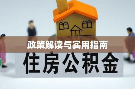 盐池政策解读与实用指南