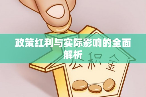 盐池政策红利与实际影响的全面解析