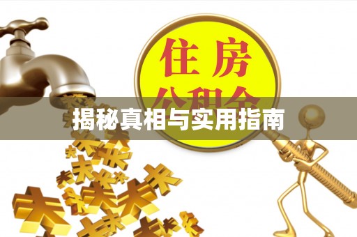 盐池揭秘真相与实用指南