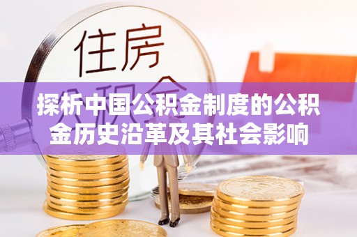 盐池探析中国公积金制度的公积金历史沿革及其社会影响