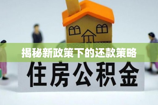 盐池揭秘新政策下的还款策略