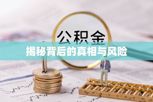 盐池揭秘背后的真相与风险