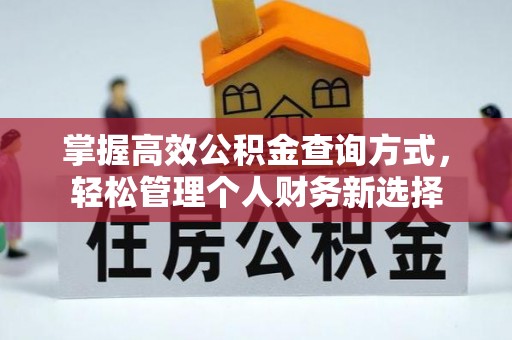 盐池掌握高效公积金查询方式，轻松管理个人财务新选择