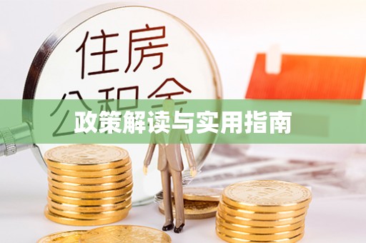 盐池政策解读与实用指南