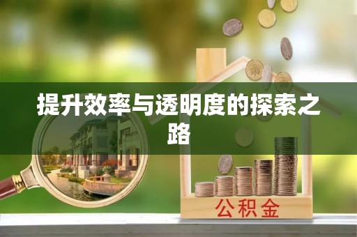 盐池提升效率与透明度的探索之路