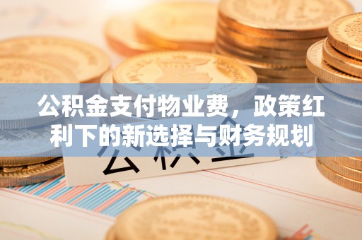 盐池公积金支付物业费，政策红利下的新选择与财务规划