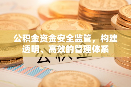 盐池公积金资金安全监管，构建透明、高效的管理体系