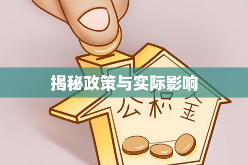 盐池揭秘政策与实际影响