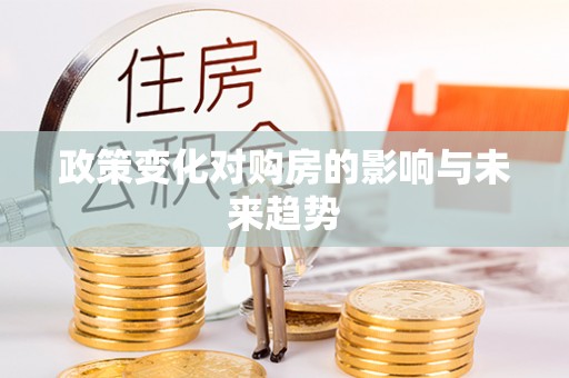 盐池政策变化对购房的影响与未来趋势