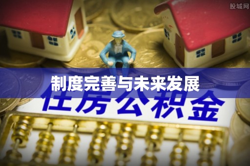 盐池制度完善与未来发展