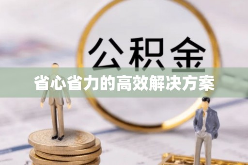 盐池省心省力的高效解决方案