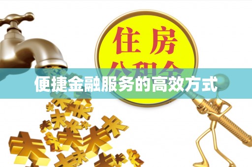盐池便捷金融服务的高效方式