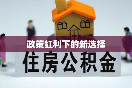 盐池政策红利下的新选择