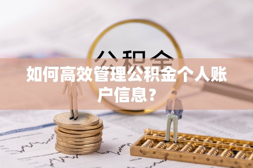 盐池如何高效管理公积金个人账户信息？