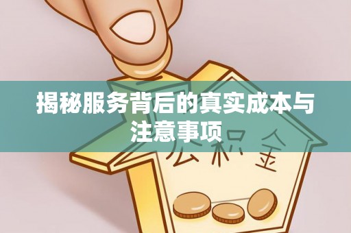 盐池揭秘服务背后的真实成本与注意事项