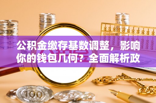 盐池公积金缴存基数调整，影响你的钱包几何？全面解析政策与实际收益