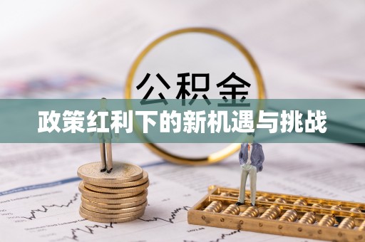 盐池政策红利下的新机遇与挑战