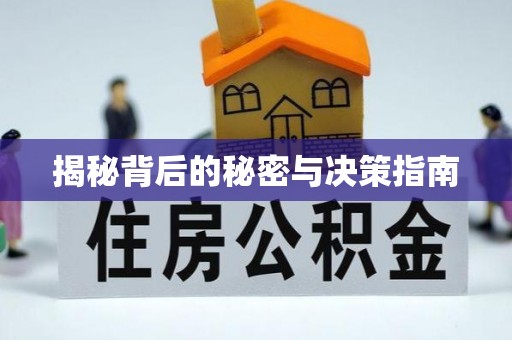 盐池揭秘背后的秘密与决策指南