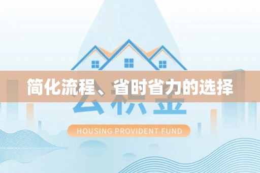 盐池简化流程、省时省力的选择
