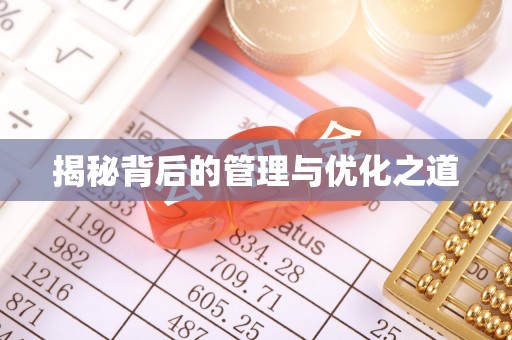 盐池揭秘背后的管理与优化之道