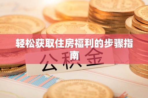 盐池轻松获取住房福利的步骤指南