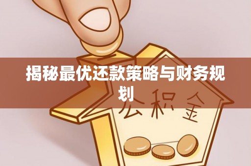 盐池揭秘最优还款策略与财务规划