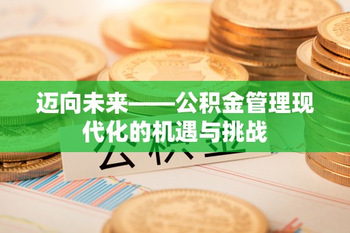 盐池迈向未来——公积金管理现代化的机遇与挑战