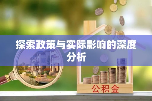 盐池探索政策与实际影响的深度分析