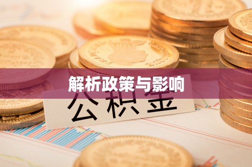 盐池解析政策与影响