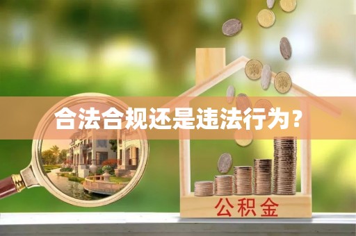 盐池合法合规还是违法行为？