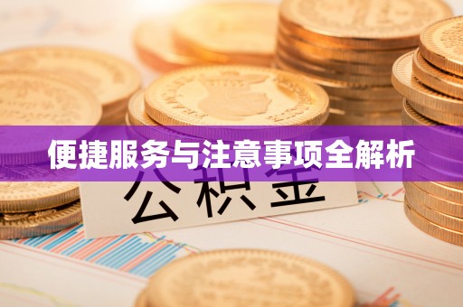 盐池便捷服务与注意事项全解析