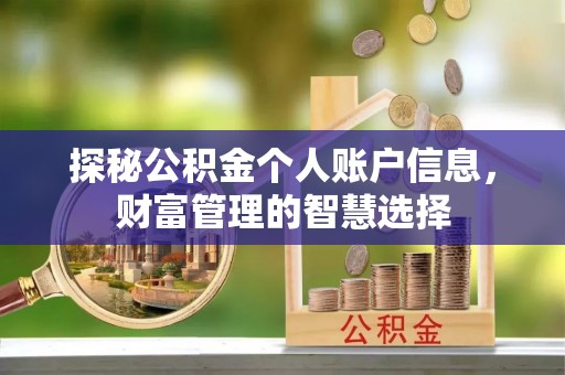 盐池探秘公积金个人账户信息，财富管理的智慧选择