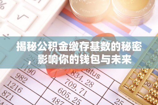 盐池揭秘公积金缴存基数的秘密，影响你的钱包与未来