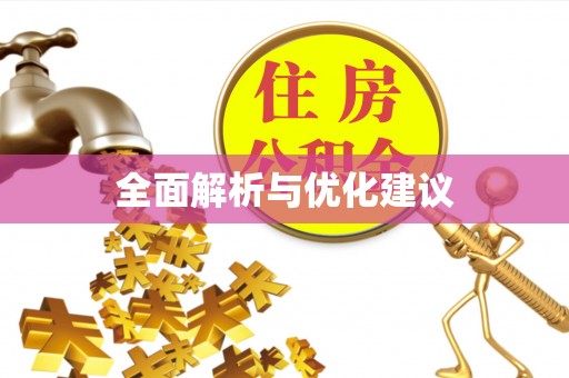 盐池全面解析与优化建议