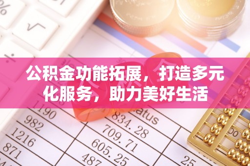 盐池公积金功能拓展，打造多元化服务，助力美好生活