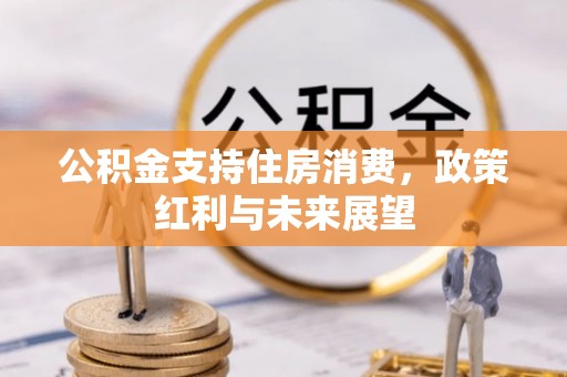盐池公积金支持住房消费，政策红利与未来展望