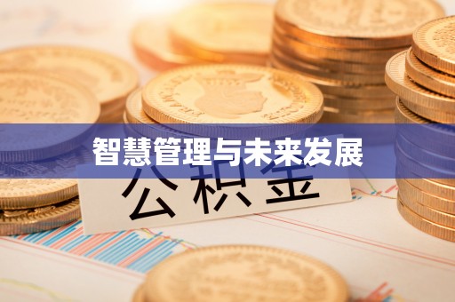 盐池智慧管理与未来发展