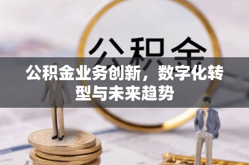 盐池公积金业务创新，数字化转型与未来趋势