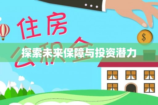 盐池探索未来保障与投资潜力