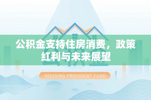 盐池公积金支持住房消费，政策红利与未来展望