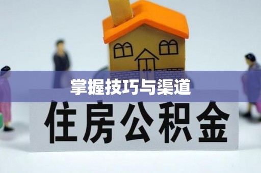 盐池掌握技巧与渠道