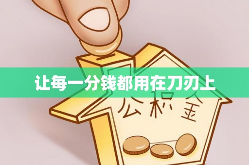 盐池让每一分钱都用在刀刃上